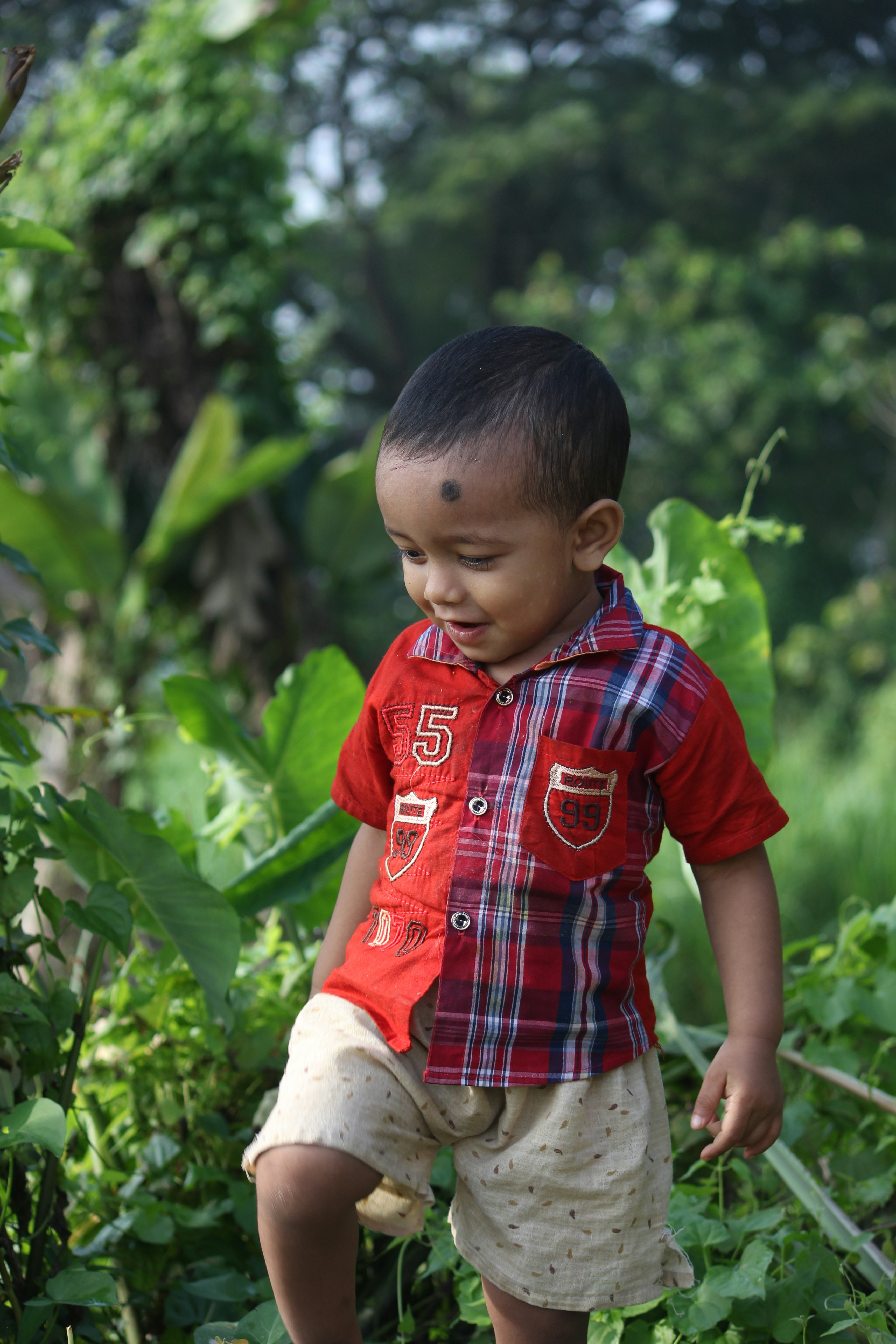 热门速看：霓虹夜行 封面